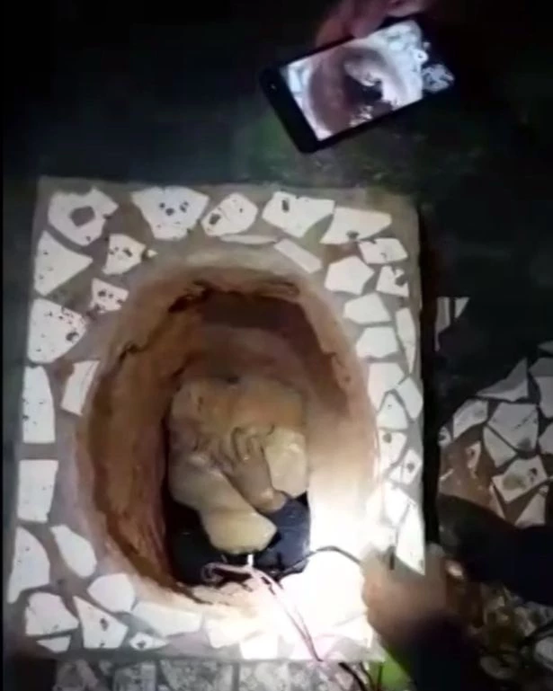 Αυτό θα πει ατυχία – Έσκαψε τούνελ 70 μέτρων για να δραπετεύσει και έπαθε ασφυξία λίγο πριν το καταφέρει